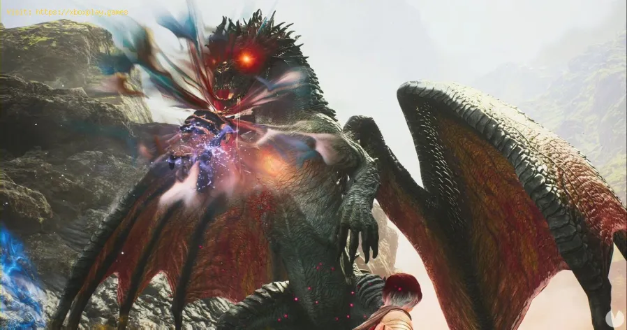 Dragon's Dogma 2: Wild Furie - Leitfaden