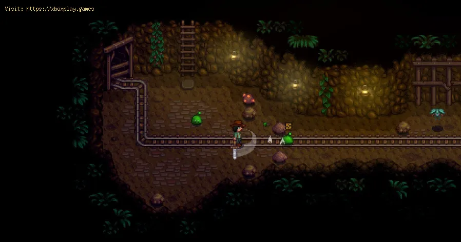 Stardew Valley: Mystic Stones Location
