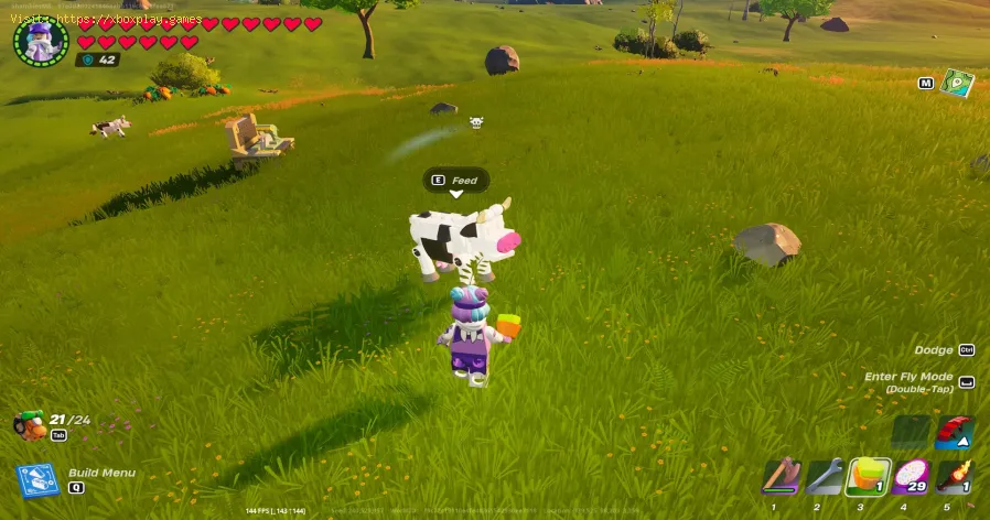 LEGO Fortnite: All animal locations