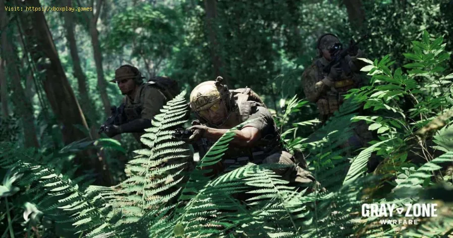 use voice chat in Gray Zone Warfare