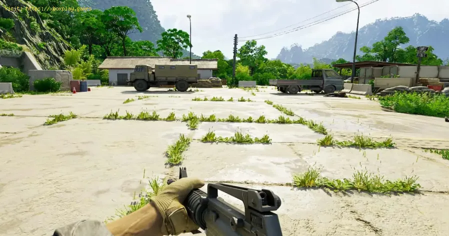 complete New Neighbours in Gray Zone Warfare