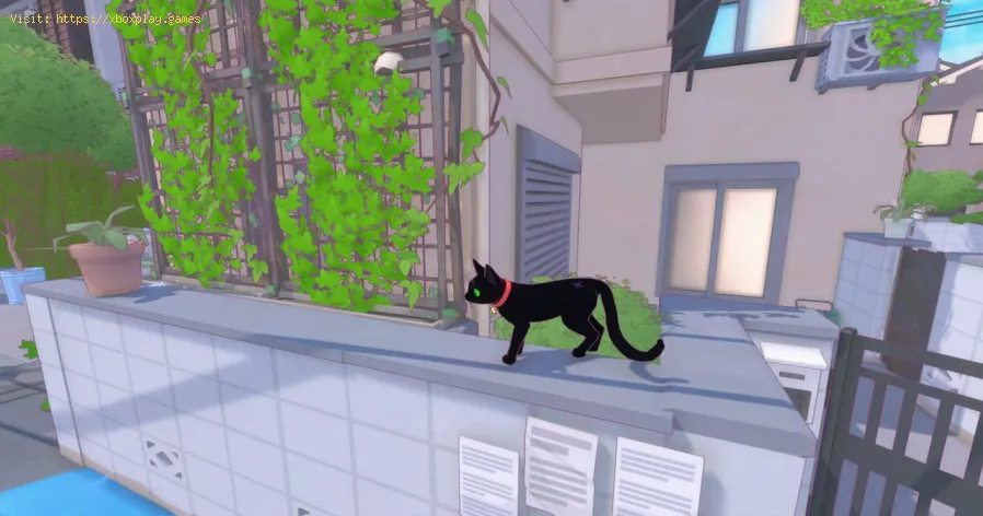 Obtenha os patinhos em Little Kitty, Big City