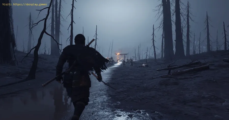 Ghost of T DIRECTOR'S CUT AMD GPU-Absturz behoben