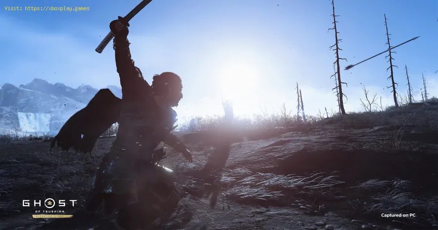 Correction de l'erreur Ghost of Tsushima F16C