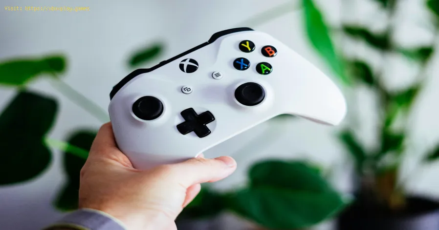 Best Xbox Esports Teams to Bet On