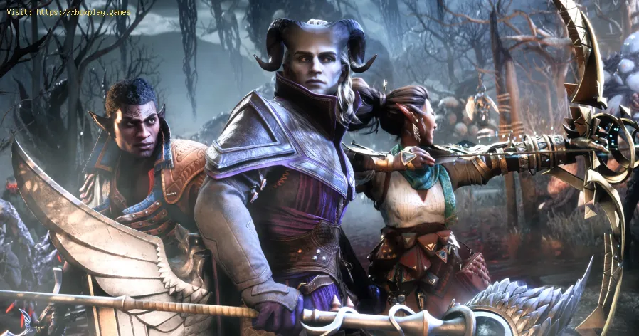 Encuentra los lugares de poder en Dragon Age Origins