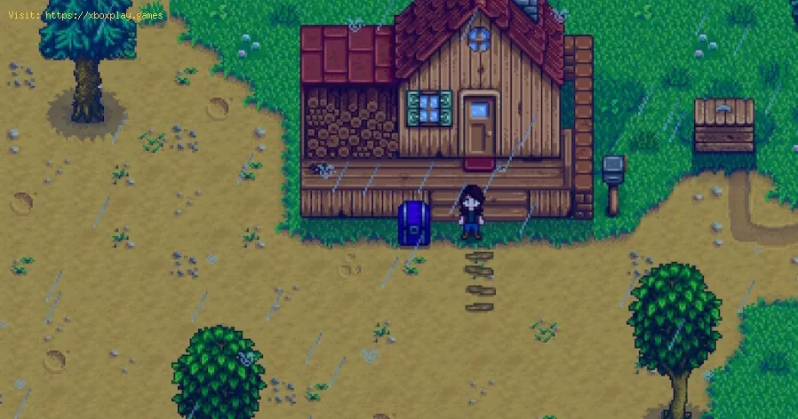 Cambia il colore dei forzieri in Stardew Valley