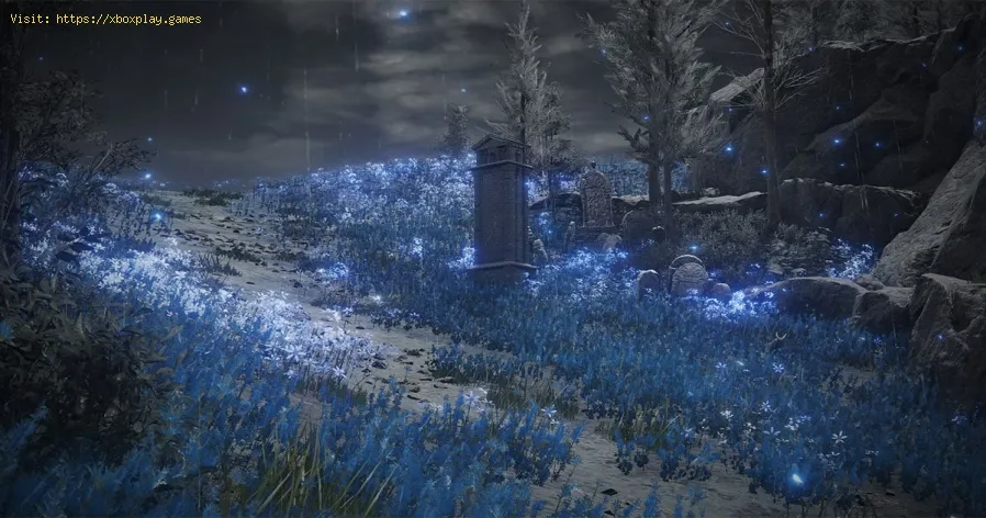 fragmento de la orilla sur en Elden Ring Shadow of the Erdtree