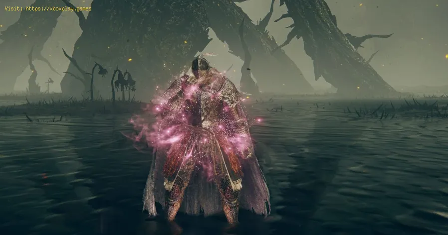 obtenha a Grande Runa de Miquella em Elden Ring