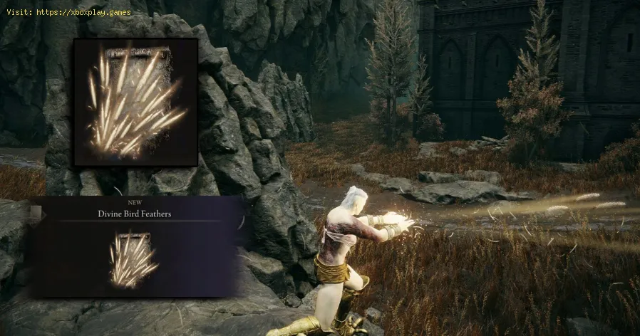 Obtenha Ash Of War: Divine Beast Frost Stomp em Elden Ring