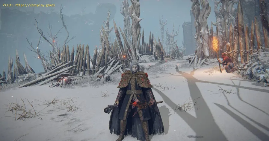 erhalte Impenetrable Thorns im Elden Ring
