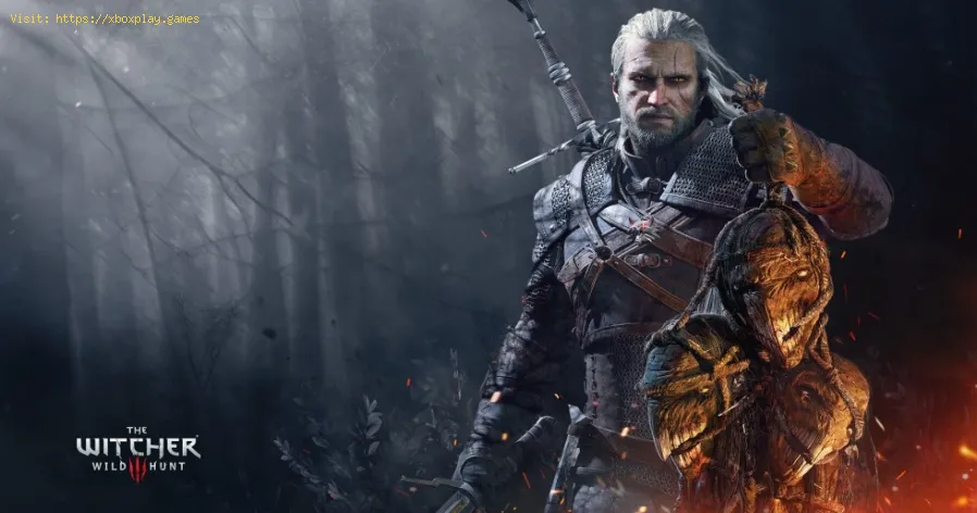 The Witcher 3: Alla ricerca delle rovine della fortezza vicino al faro