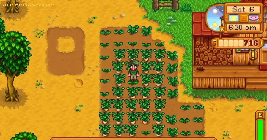 Stardew Valley: So erhalten Sie Erdbeersamen