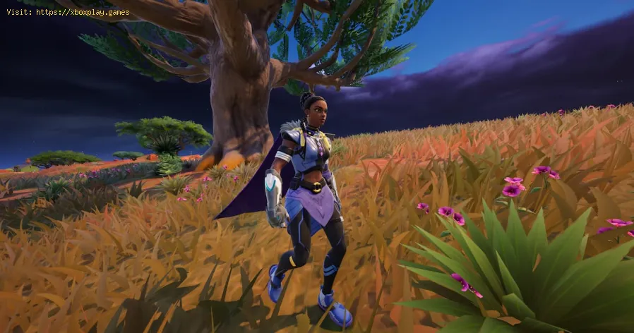 Fortnite: Wo finde ich Shuri? - Ultimativer Leitfaden