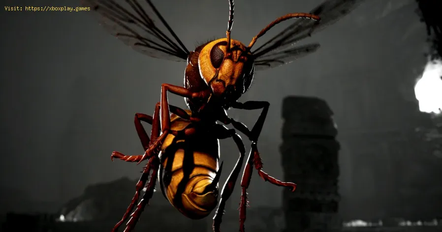 Mortal Kombat 1: All Cyrax Fatalities