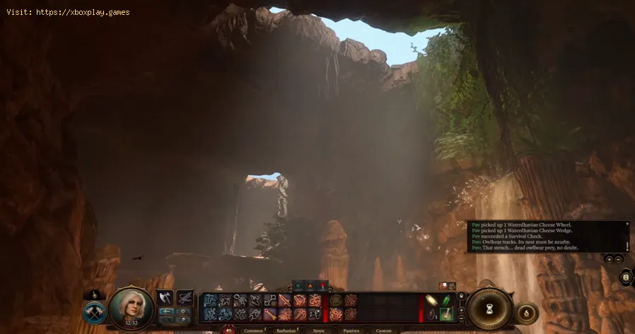 Baldur's Gate 3: Cómo abrir la estantería
