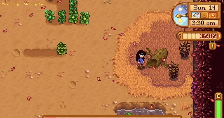 Stardew Valley: So erhalten Sie das Pilzprotokoll