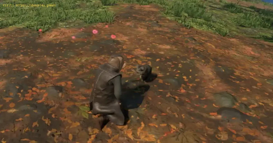 Enshrouded: Como domar um gato - Controle guia definitivo