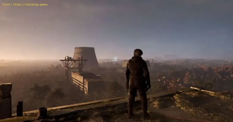 Stalker 2: So tötet man Rattenschwärme