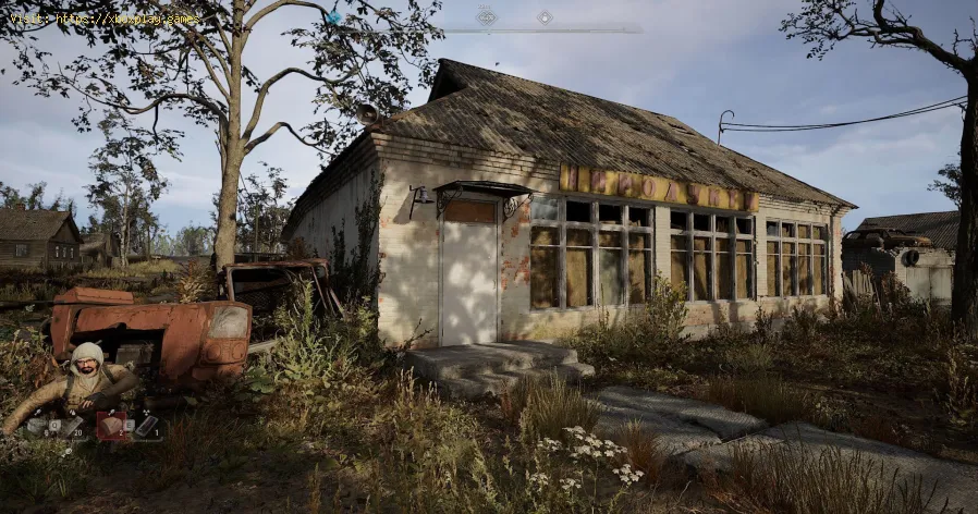 Stalker 2: All status conditions and cures
