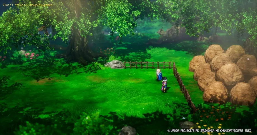 Dragon Quest 3 Remake: Get The Tough Cookie Personalitiy