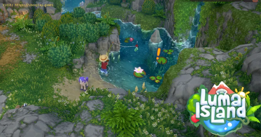 Luma Island: How to Open the Broken Pet Shop