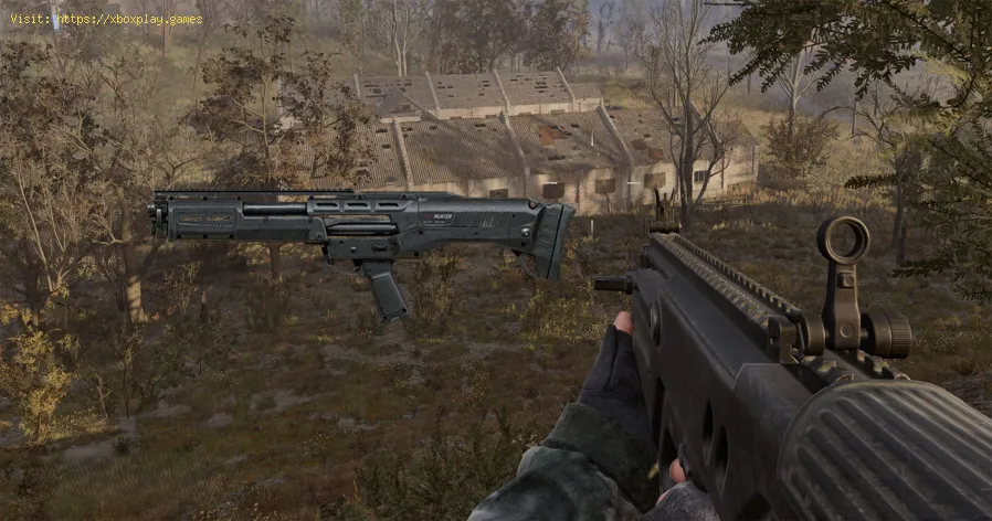 Stalker 2 : Comment obtenir le fusil de précision Whip