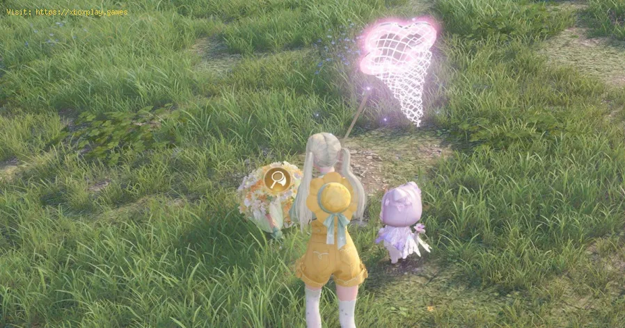 Infinity Nikki: Como obter besouros de flores