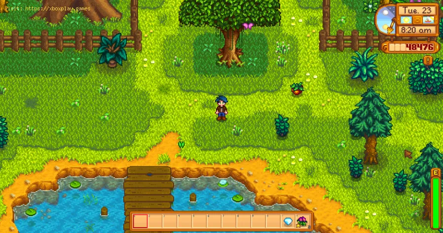 Stardew Valley: So freundet man sich mit Gus an