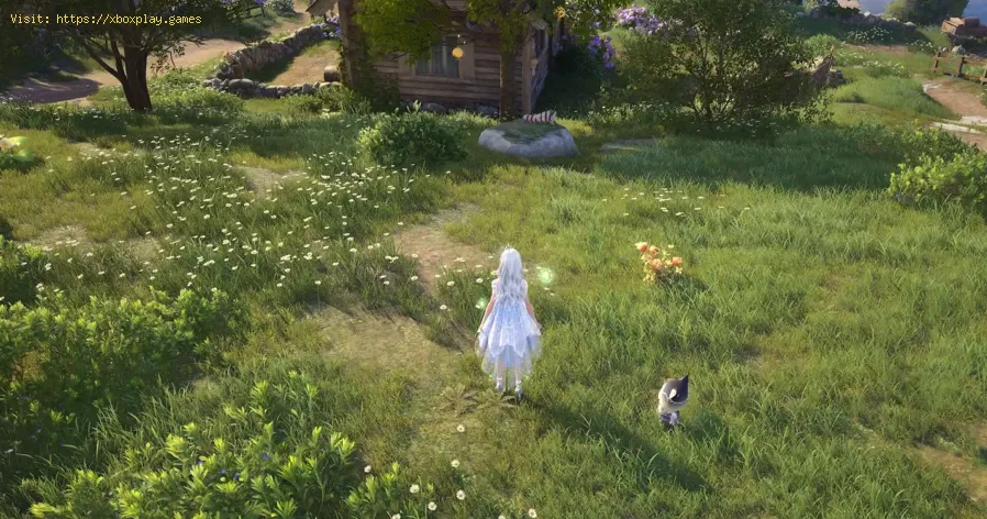 Infinity Nikki : Comment obtenir Socko