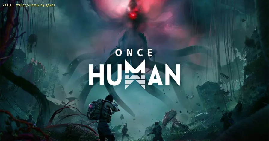 Correction du bug d'insuffisance d'objet Once Human