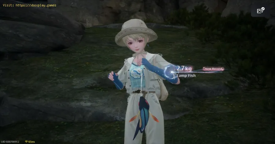 Infinity Nikki : Comment obtenir une plume de corbeau de Célébrité