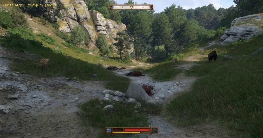 Kingdom Come Deliverance 2: How to Get a Free Shield