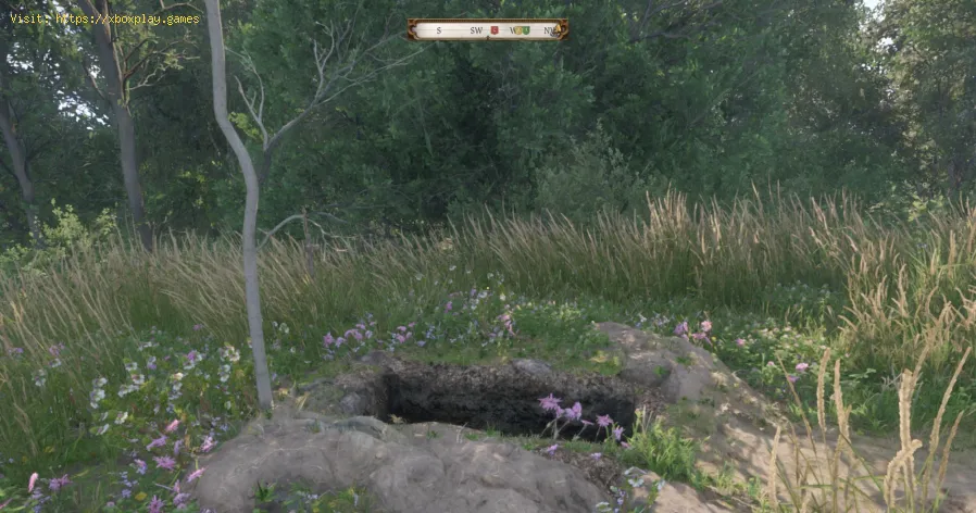 Kingdom Come Deliverance 2: Wie man ein Pik bekommt