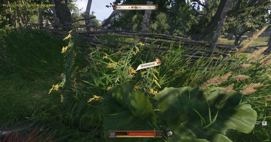 Kingdom Come Deliverance 2 : Comment trouver l'absinthe