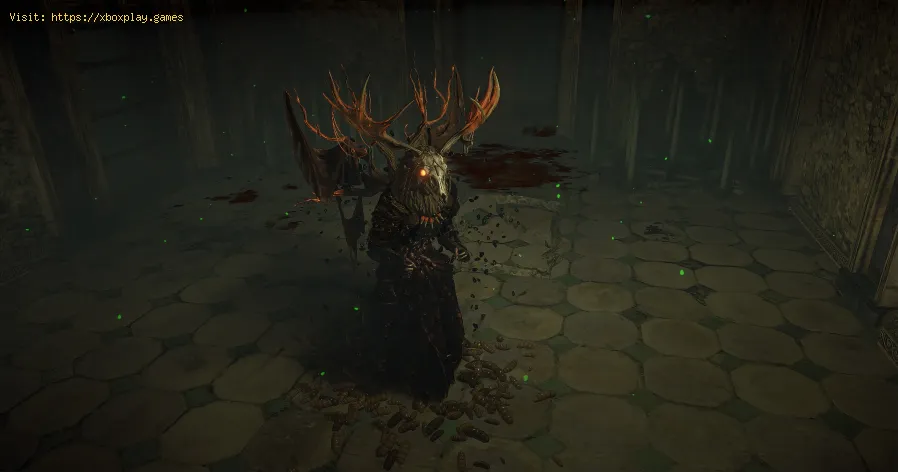 Path of Exile Legacy of Phrecia: Come ottenere idoli