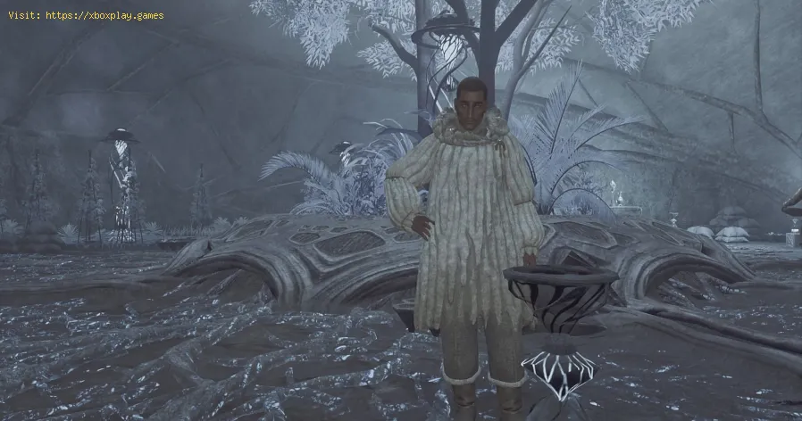 Monster Hunter Wilds: How to Get Sild Cotton