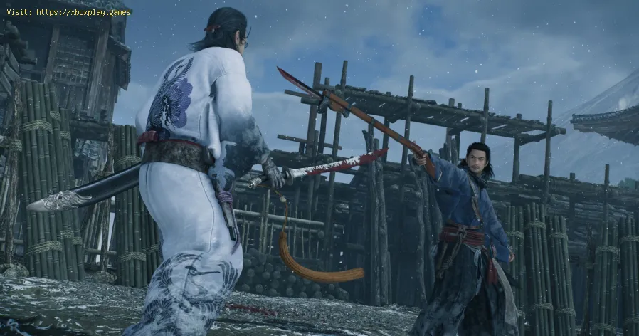 Rise of the Ronin: Come giocare in modalità cooperativa