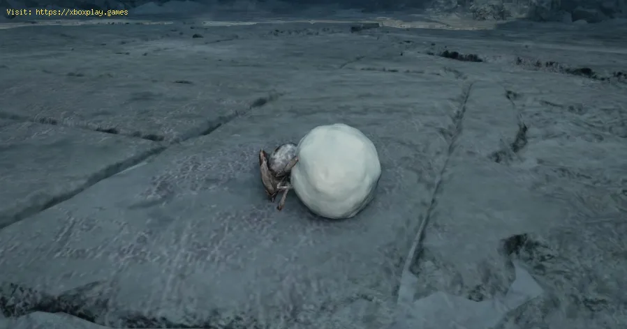 Monster Hunter Wilds: localisation des scolytes