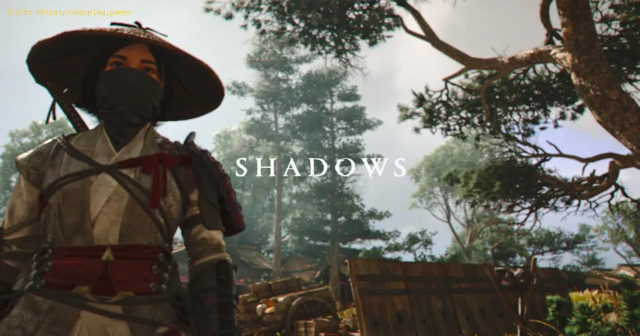 Problème de chargement de la texture des ombres d'AC