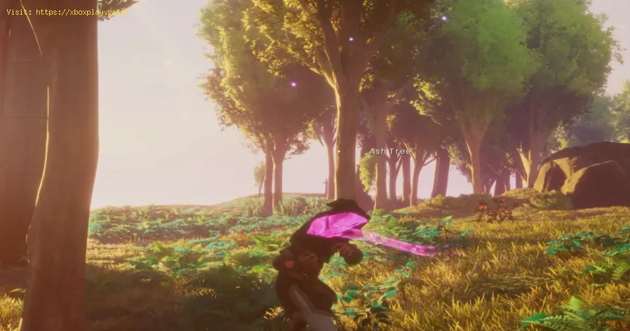 RuneScape Dragonwilds: So deaktivieren Sie Nebel/Bloom/Lens Flare