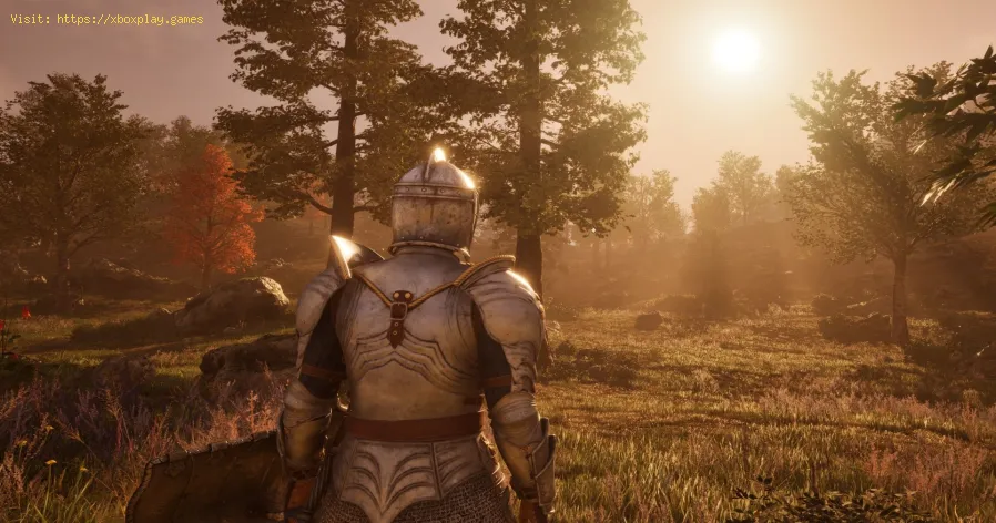 Oblivion Remastered: How to Make Gold