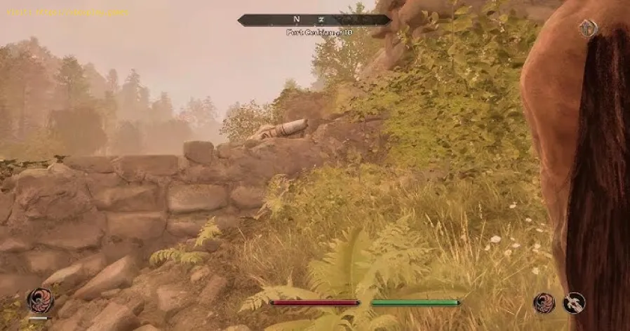 Oblivion Remastered: Como obter pele de leão