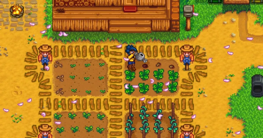 Stardew Valley: Where to Find Grapes
