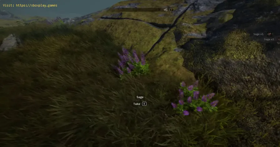 Tainted Grail The Fall of Avalon: How To Get Origin Potions