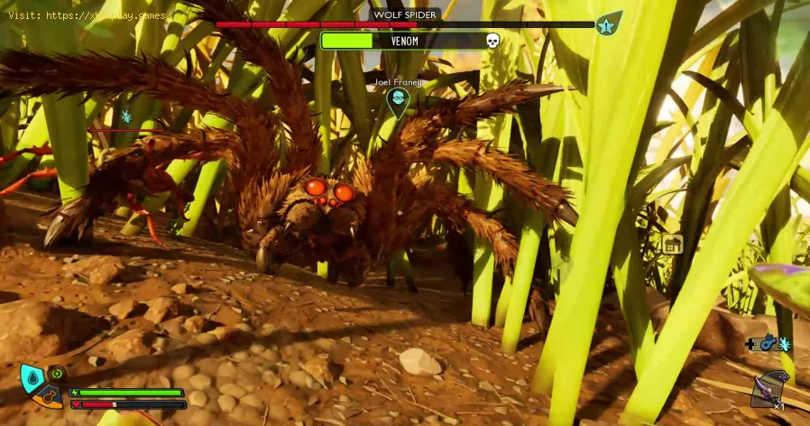 Grounded 2: Fundorte der Wolfsspinnen