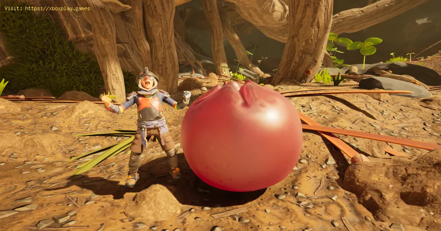 Grounded 2: Where to Find Lingonberries