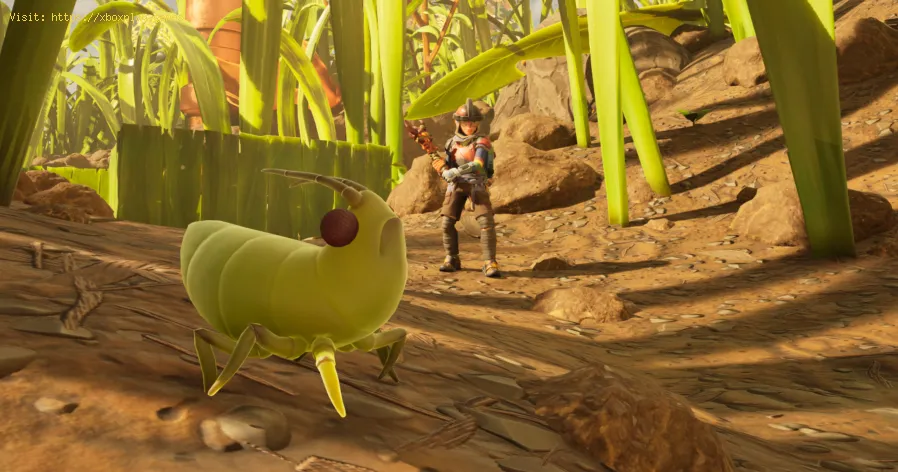 Grounded 2: How to Kill Snails