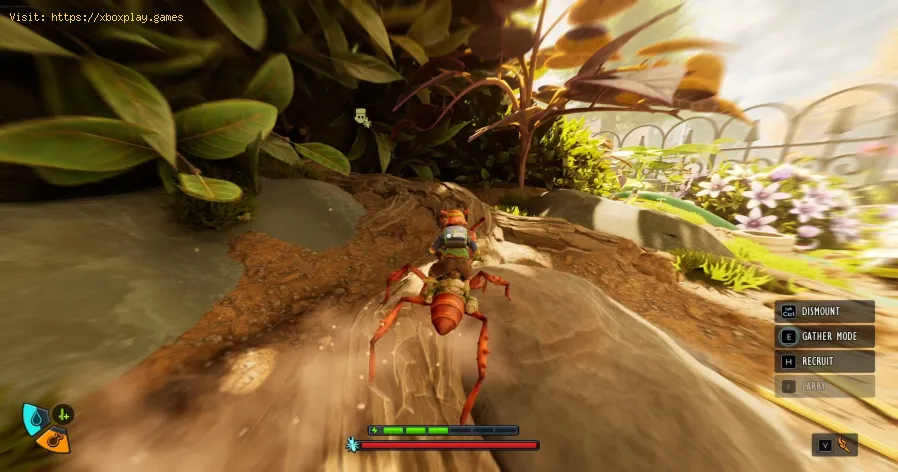 Grounded 2: Como chegar ao centro de rede