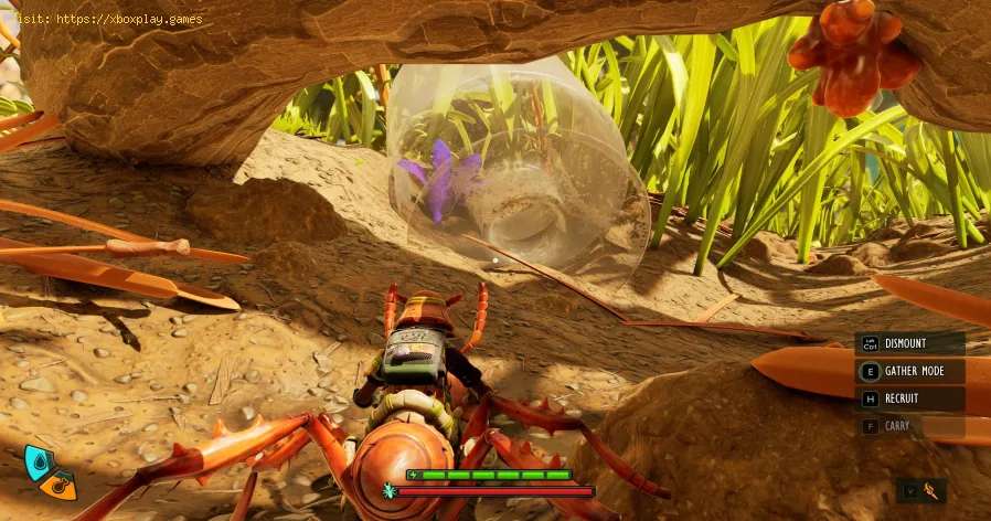 Grounded 2: How to Get Flower Petals
